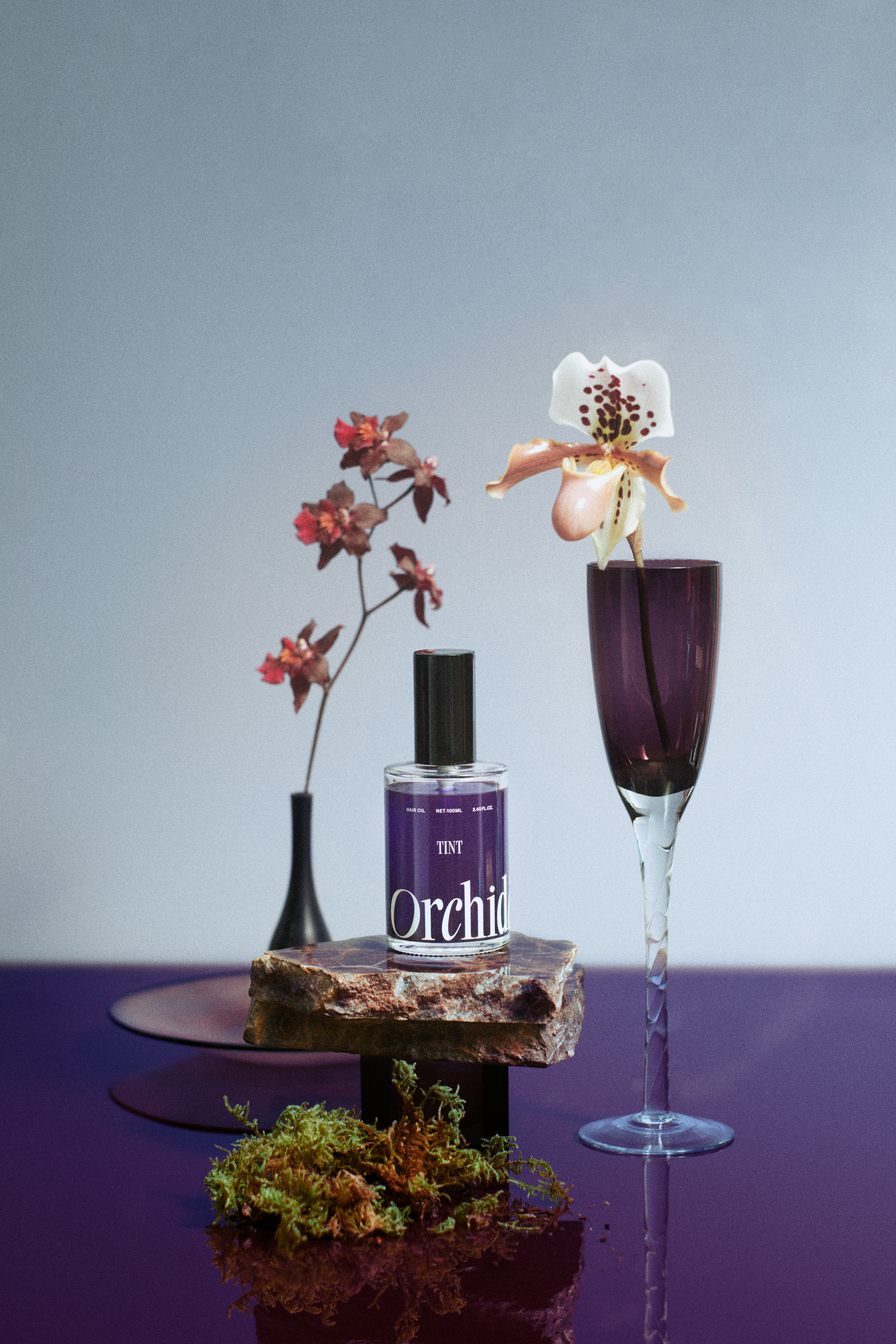 Orchidée mood