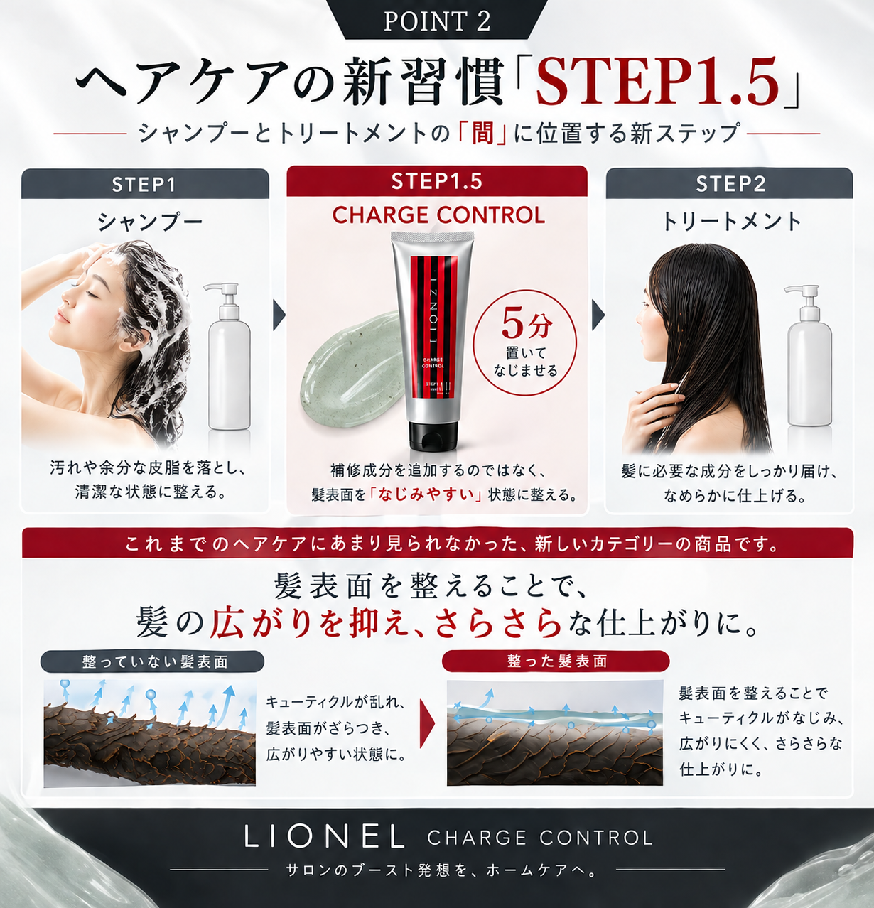 LIONEL STEP1.5 使用イメージ