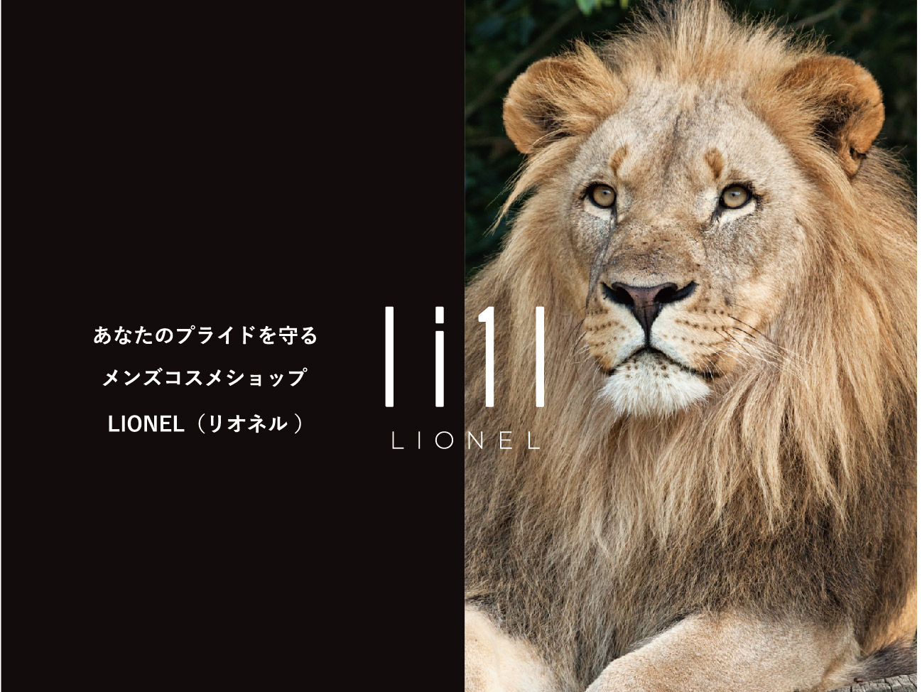 20NEO(ニーゼロネオ) 正規販売店｜LIONEL公式通販｜話題のスキンケア
