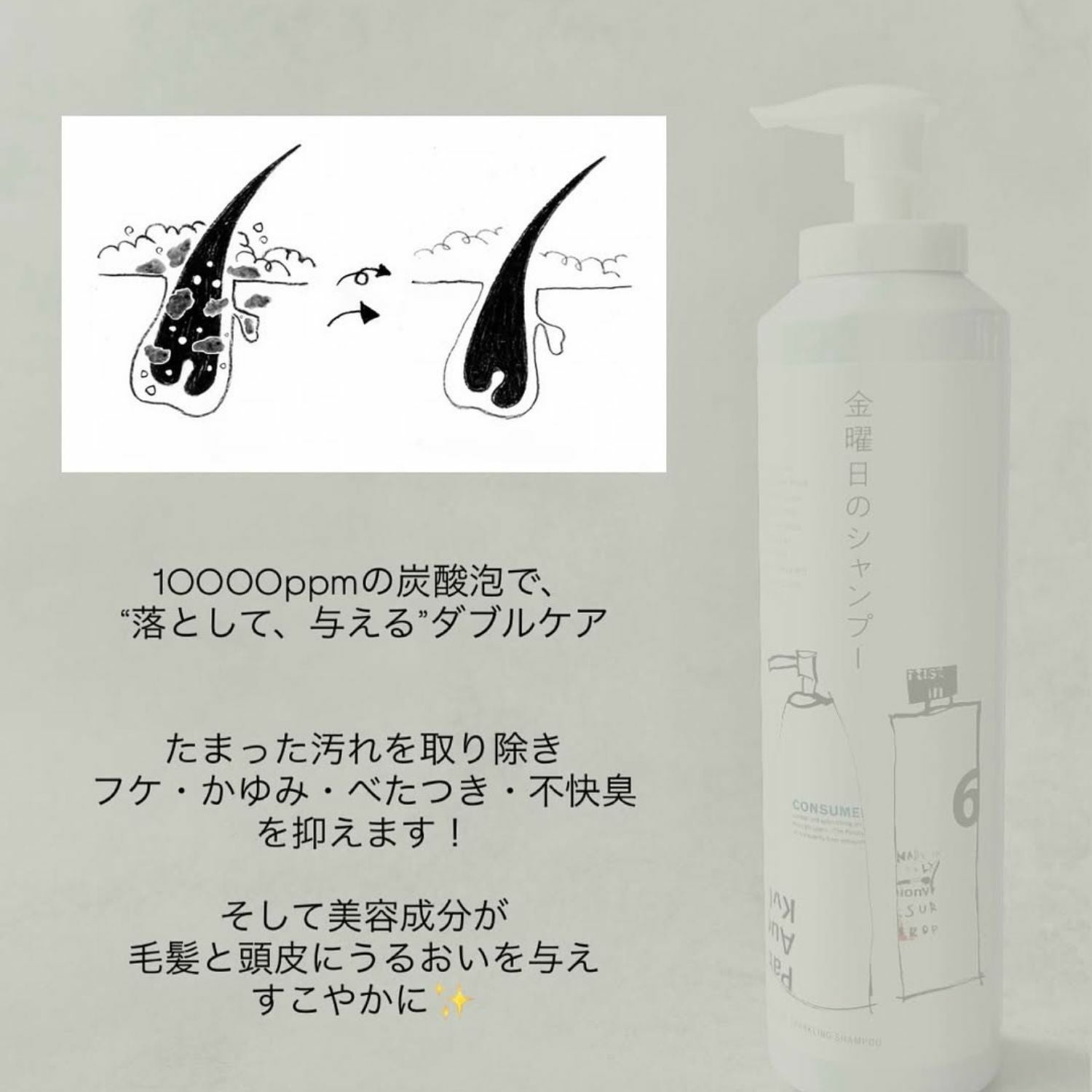 正規販売品】ブルーブラッド 金曜日のシャンプー｜ヒルナンデス紹介